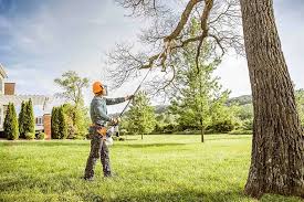 Trusted Greenfield, MN Tree Removal and Landscaping Services Experts